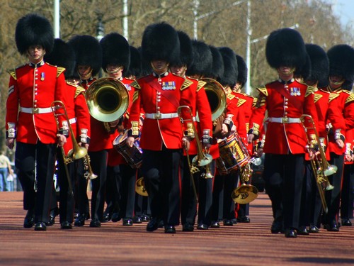 Palace Guards - Londres - London