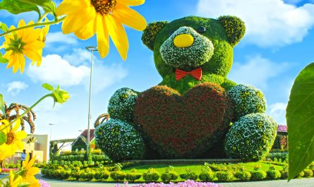 dubai-miracle-garden-teddy-bear
