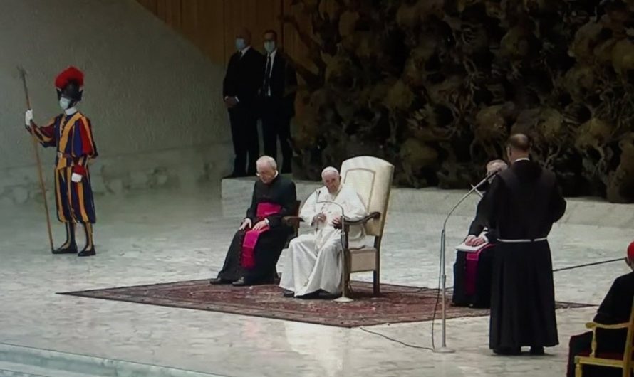Cómo conocer al Papa – Audiencia Papal