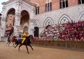 palio-Siena-caballos
